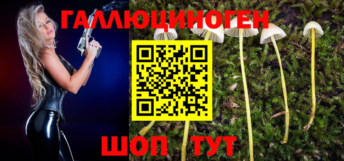 Псилоцибиновые грибы MAGIC MUSHROOMS Дербент